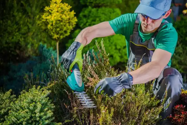 landscaping services Clay